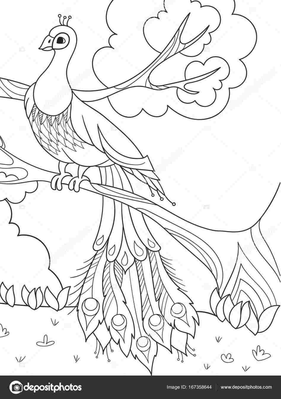 948x1343 Simple Colorful Download Clip Art Rhclipartlibrarycom Free Peacock - Peacock Cartoon Drawing