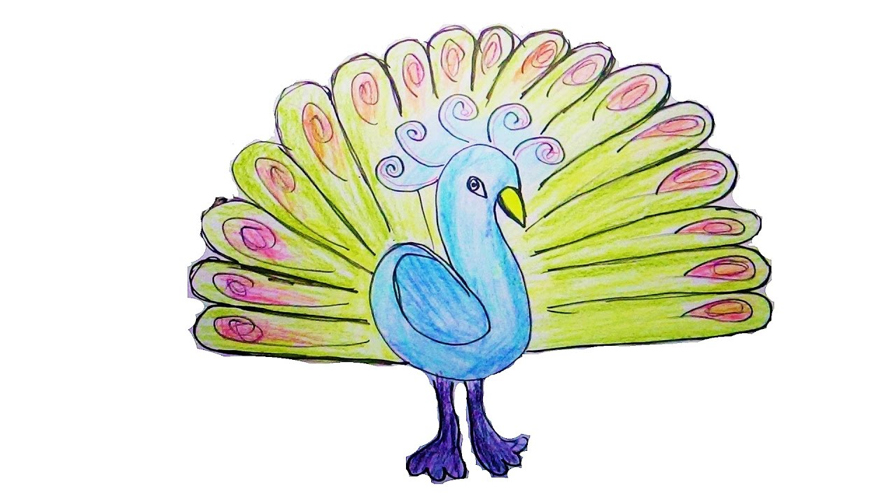 1280x720 Easy Drawing For Kids - Peacock Cartoon Drawing