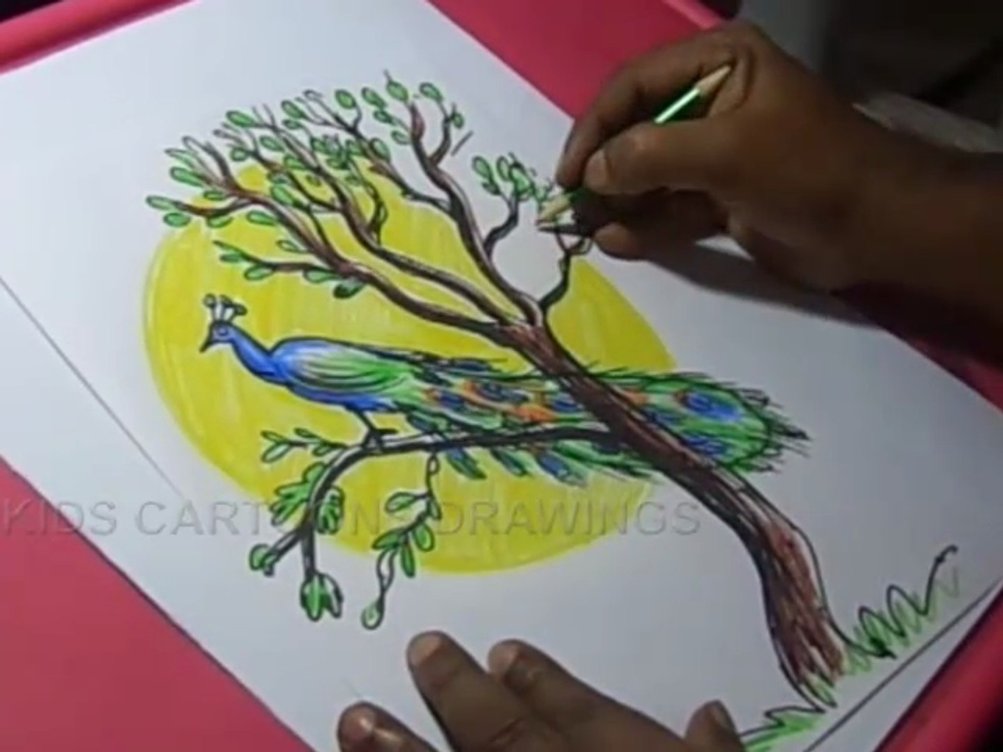 1440x1080 How To Draw Peacock With Tree Color Drawing For Kids - Peacock Drawing
