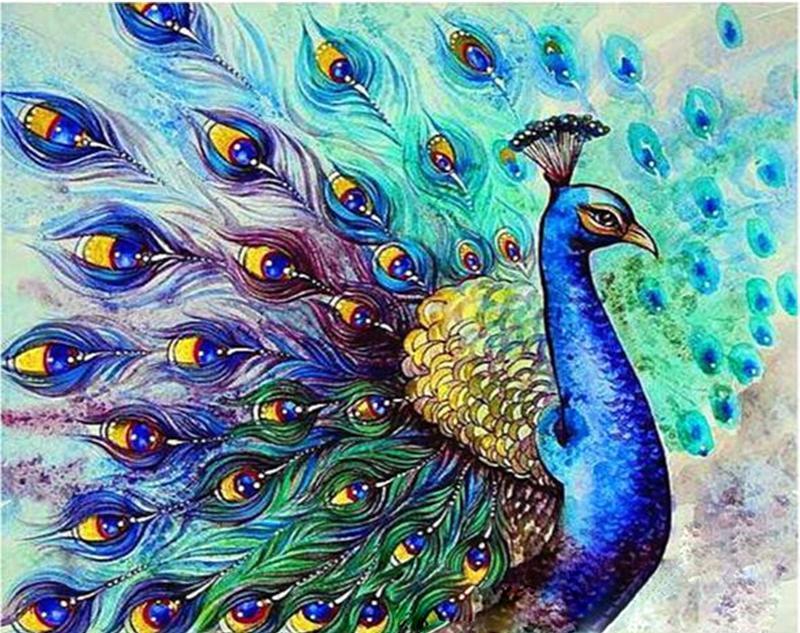 800x633 Peacock Drawing Painting - Peacock Drawing