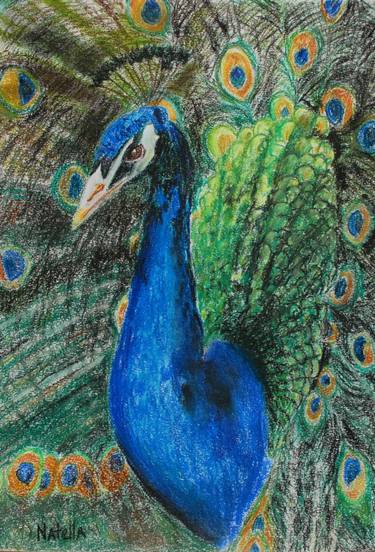 375x552 Peacock Drawing - Peacock Drawing