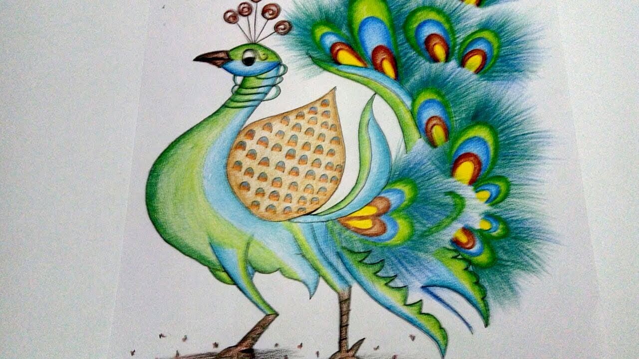 1280x720 Peacock Drawing - Peacock Drawing