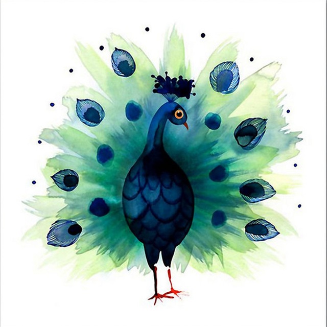 640x640 Diy Diamond Painting Animal Peacock Cross Stitch Painting - Peacock Drawing
