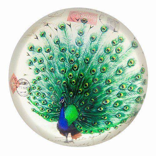 500x500 Vintage Peacock Drawing Glass Paperweight - Peacock Drawing