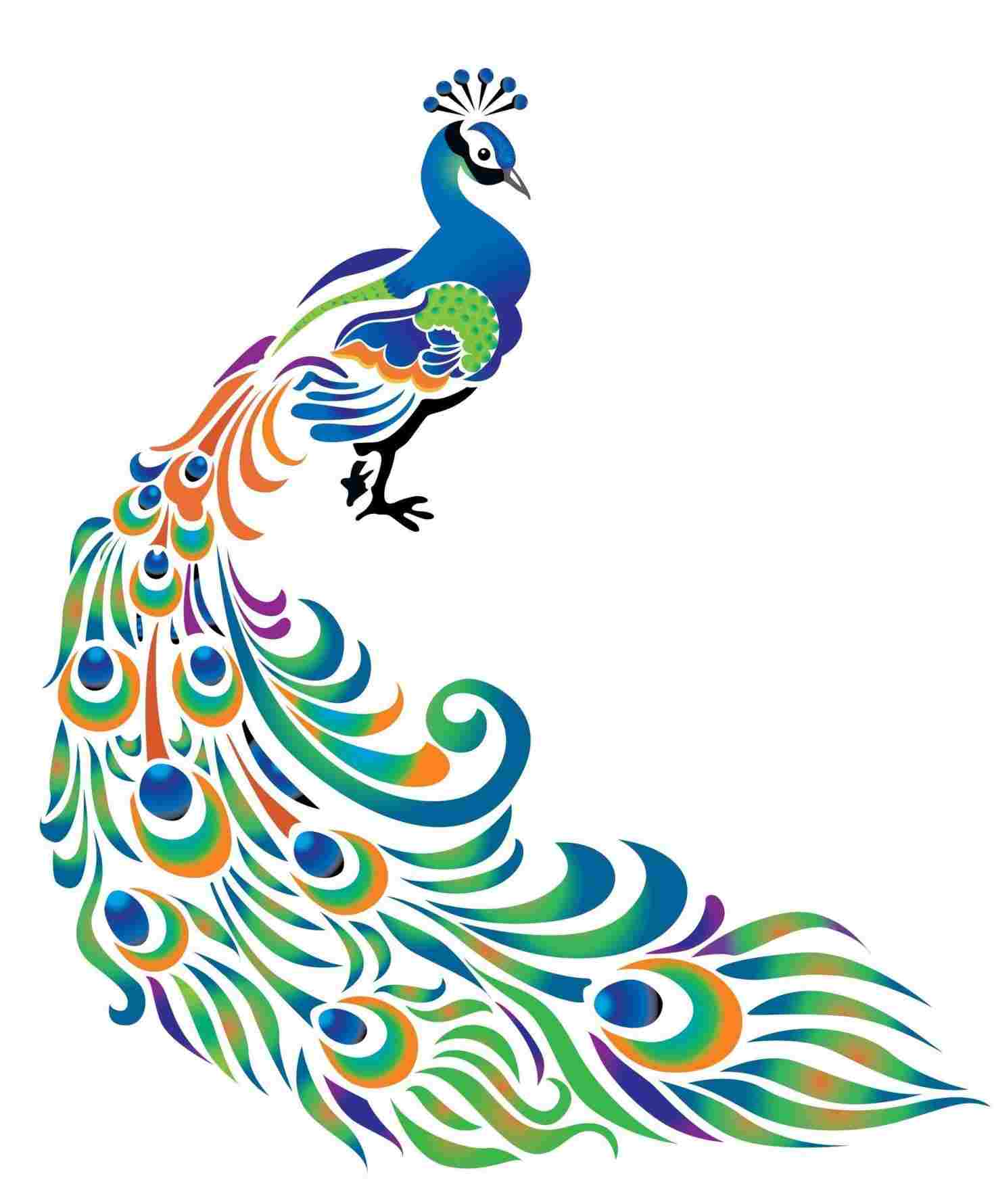 Peacock Drawing at PaintingValley.com | Explore collection of Peacock ...