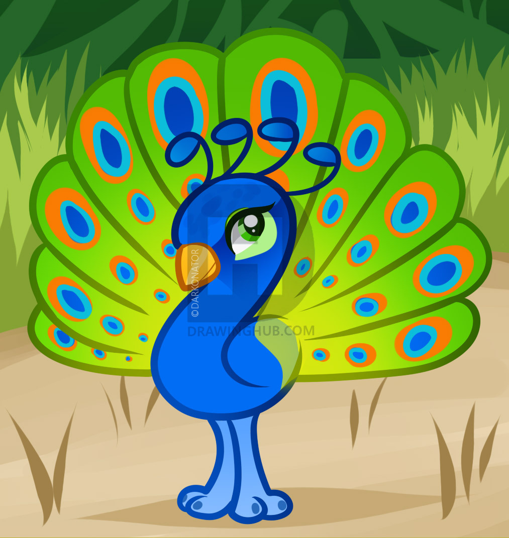 1013x1072 How To Draw A Peacock For Kids, Step - Peacock Drawing