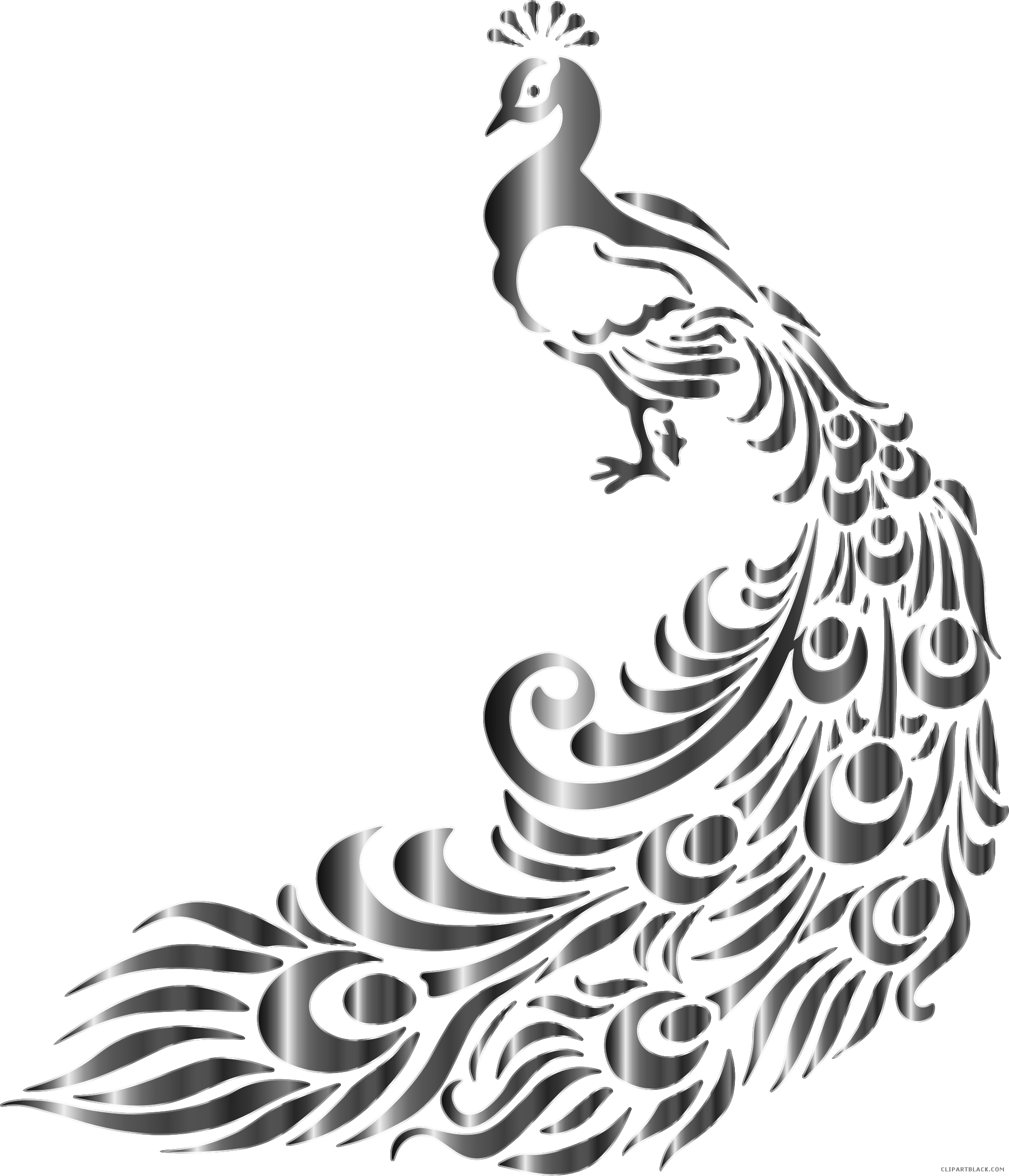 Peacock Drawing Black And White