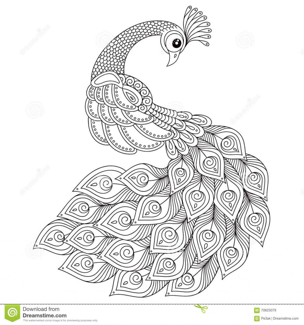 1024x1095 Coloring Pages Antitress Coloring Pages Peacock Adult Antistress - Peacock Drawing Black And White