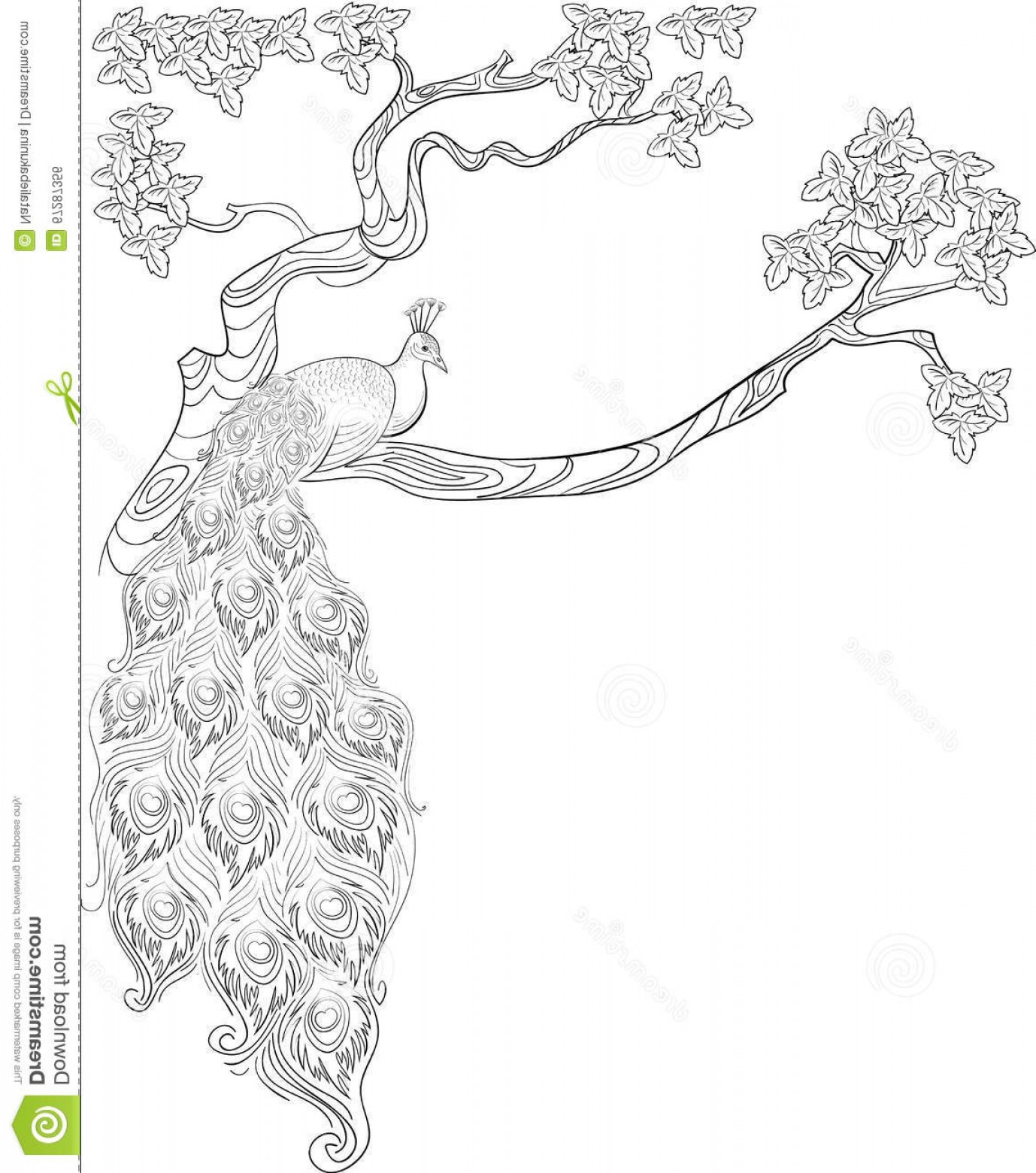 1378x1560 graphic peacock on the tree illustration lazttweet - Peacock Drawing Black And White