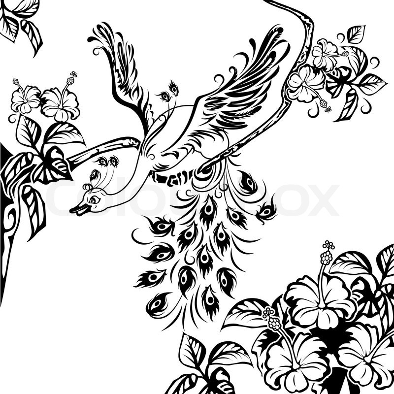 800x800 Peacock On A Tree Branch Full Of Stock Vector Colourbox - Peacock Drawing Black And White