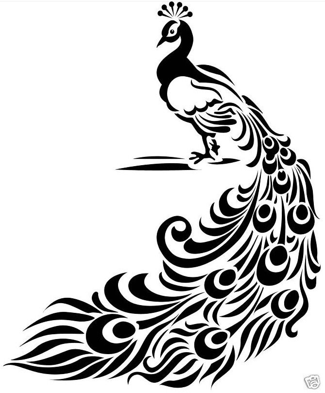 669x809 black white peacock drawing, art, stencils - Peacock Drawing Black And White