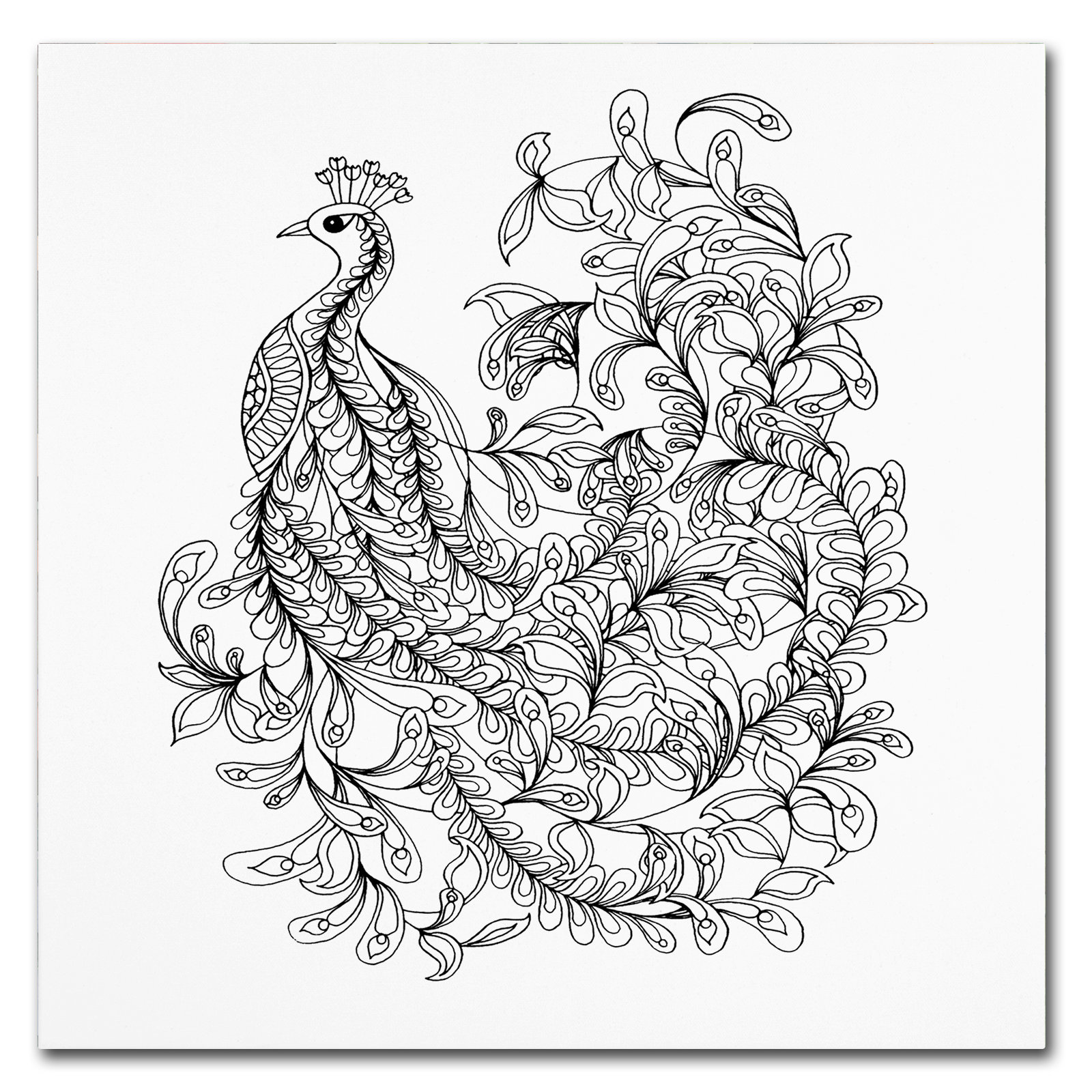 1600x1600 Trademark Art 'fancy Peacock' Drawing Print On Wrapped Canvas - Peacock Drawing Black And White