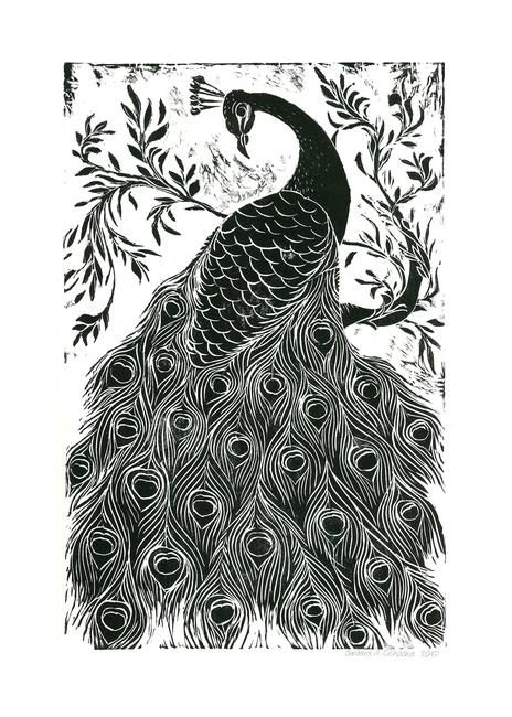 464x650 black and white peacock drawing black and white peacock original - Peacock Drawing Black And White