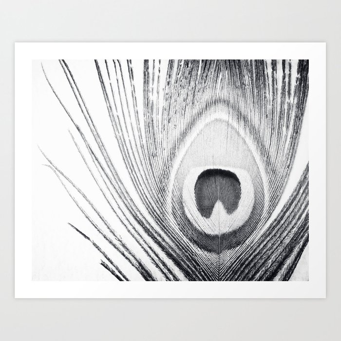 700x700 Black And White Peacock Feather Photography, Grey Nature, Neutral - Peacock Drawing Black And White