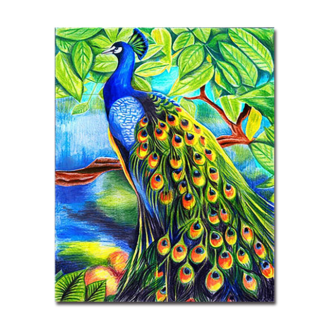 640x640 Animal Peacock Diy Painting - Peacock Drawing Color