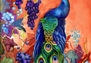 300x210 peacock color pencil drawing color pencil drawings of peacock - Peacock Drawing Color