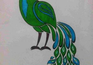 300x210 to draw a peacock with color pencils drawing feathers - Peacock Drawing Color