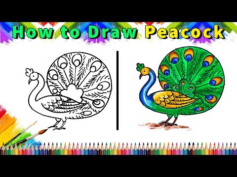 480x360 Download How To Draw And Color Peacock Drawing And Coloring - Peacock Drawing Color