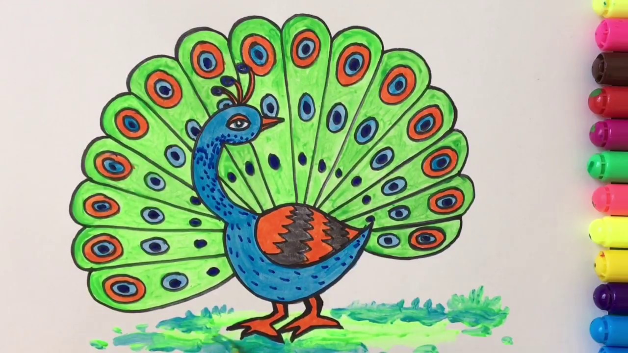 1280x720 Drawing And Colouring Peacock - Peacock Drawing Color