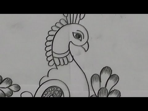 480x360 how to draw peacock saree design - Peacock Drawing Designs