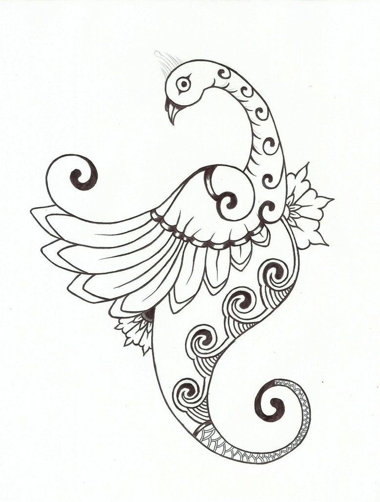 778x1026 images for gt peacock drawing designs paisley peacock drawing - Peacock Drawing Designs