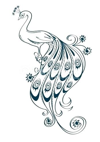 348x492 peacock outline image peacock outline drawing images - Peacock Drawing Designs