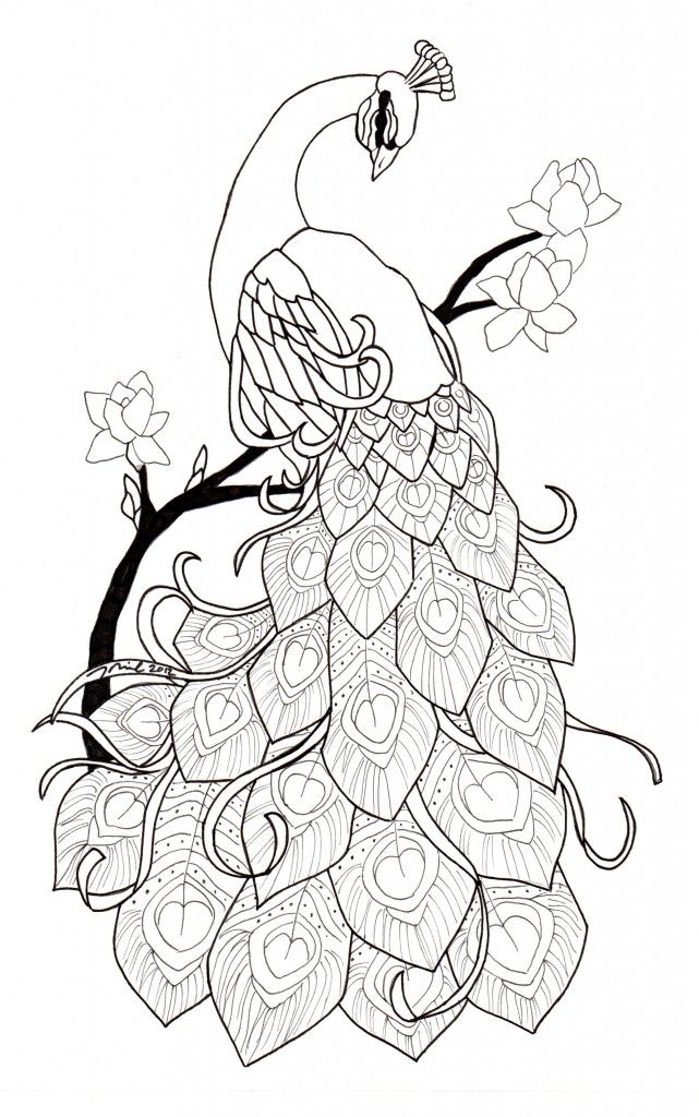 641x1024 Peacock Tattoo Designs - Peacock Drawing Designs