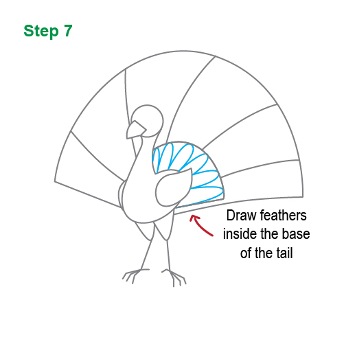 501x501 How To Draw How To Draw A Peacock For Kids - Peacock Drawing Drawing