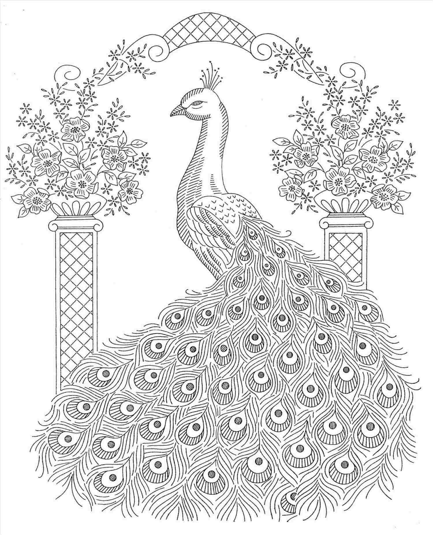 1500x1851 Peacock Drawing Step - Peacock Drawing Drawing