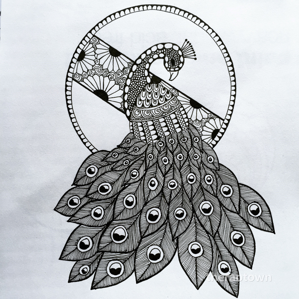 1024x1024 pencil sketch drawing peacock image peacock drawing sketch peacock - Peacock Drawing Drawing