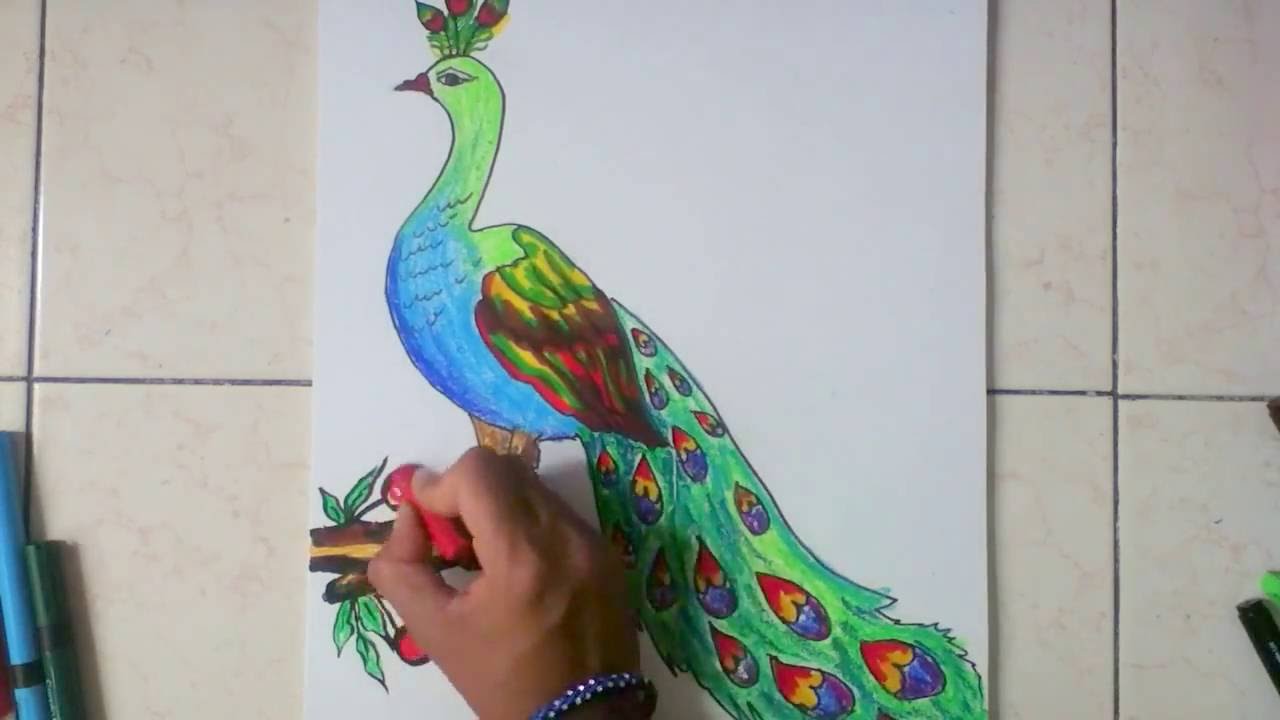 1280x720 How To Draw Peacock In Simple Steps - Peacock Drawing Drawing