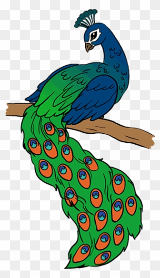 320x555 Free Png Peacock Clip Art Download - Peacock Drawing Drawing