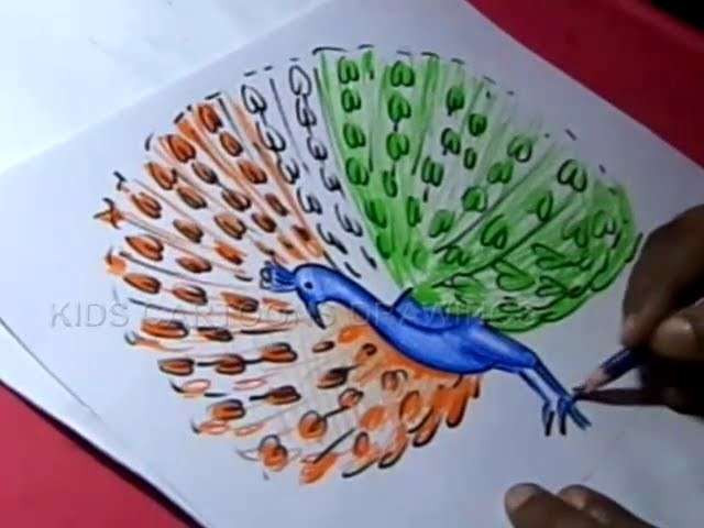 640x480 how to draw an iguana easy beautiful how to draw a peacock step - Peacock Drawing Easy
