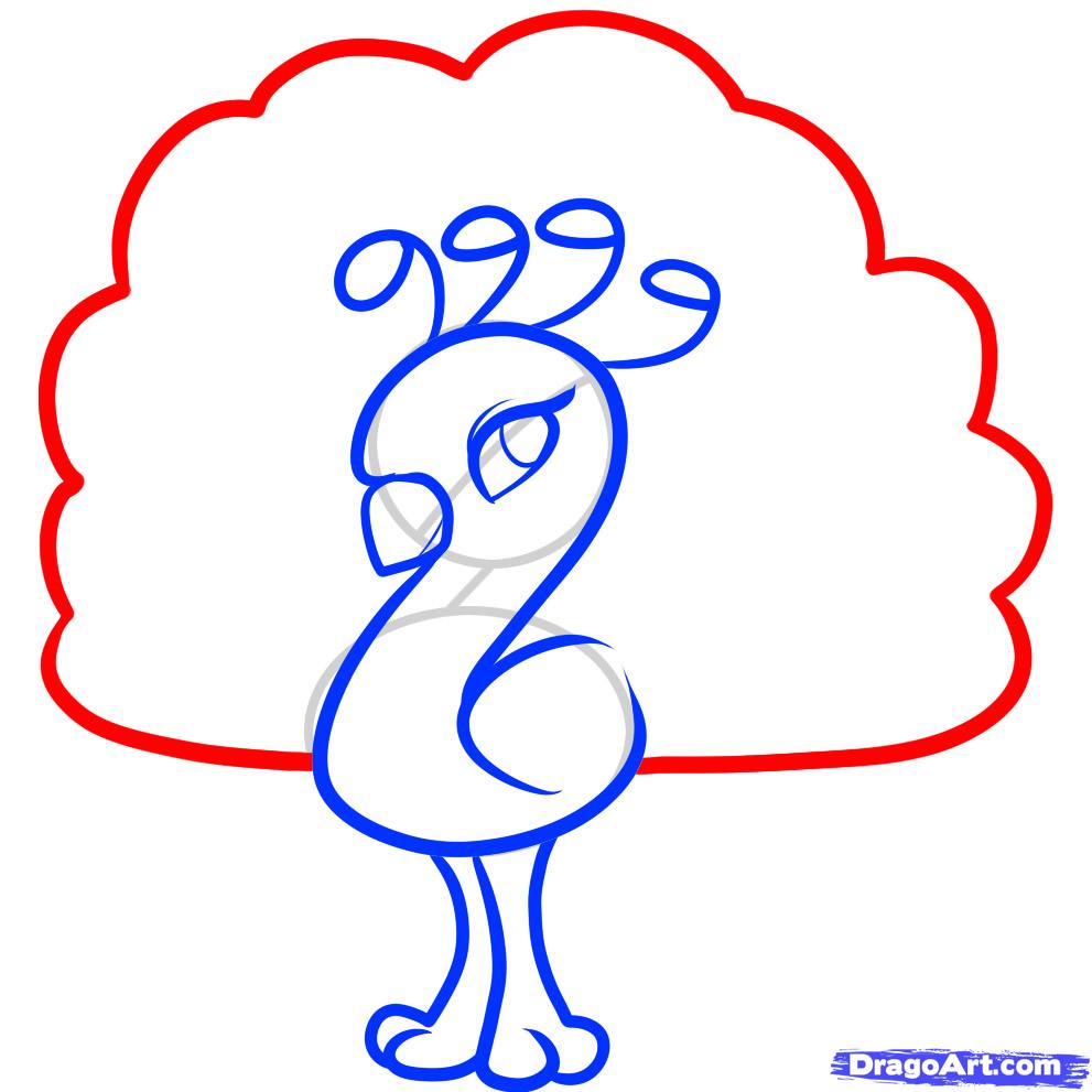 991x991 How To Draw A Peacock For Kids, Step - Peacock Drawing Easy