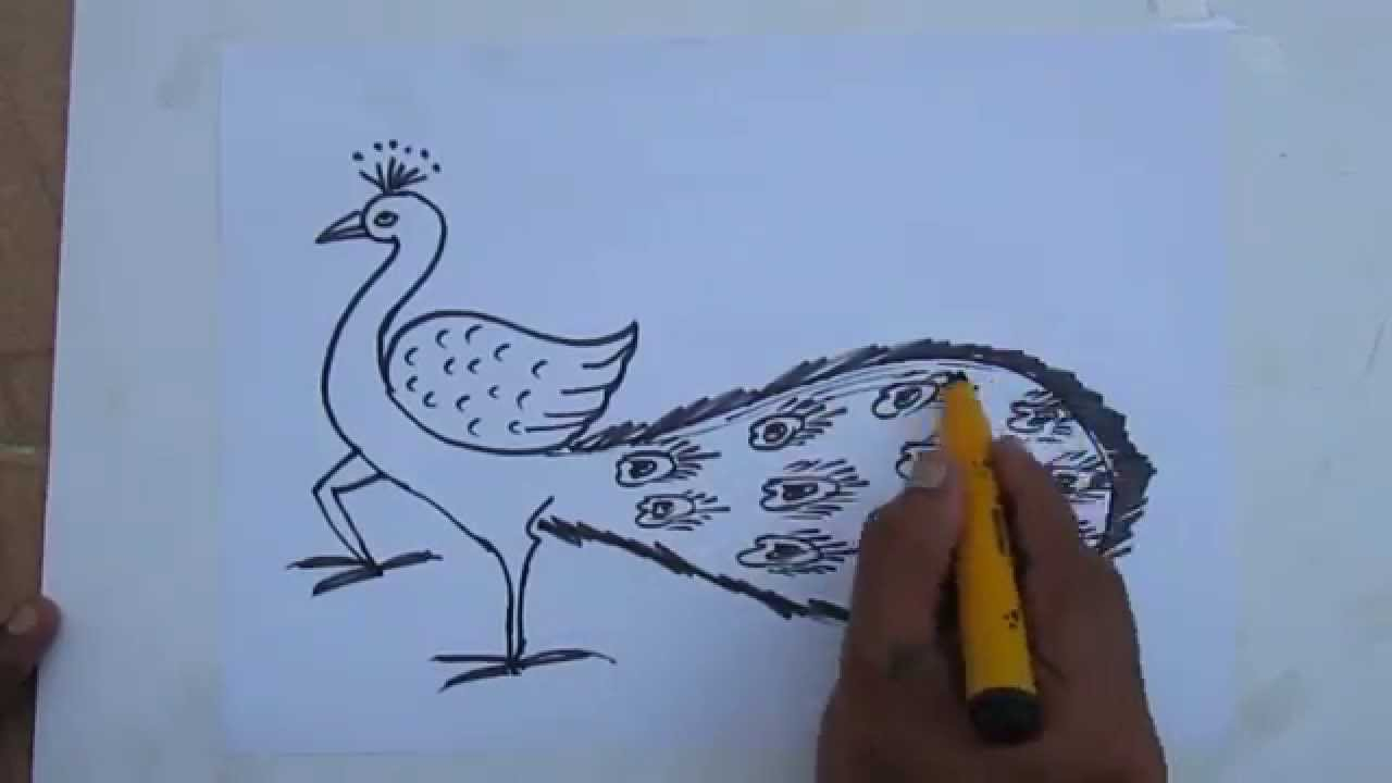 1280x720 Pencil Drawing Peacock And How To Draw A Simple Peacockpraveen D L - Peacock Drawing Easy