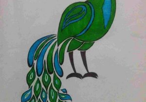 300x210 For Kids Youtuberhyoutubecom How Peacock Drawing Easy To Draw - Peacock Drawing Easy