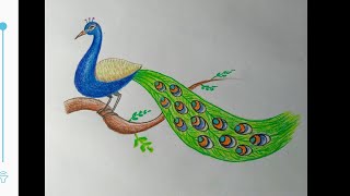 320x180 Peacock Drawing Easy - Peacock Drawing Easy