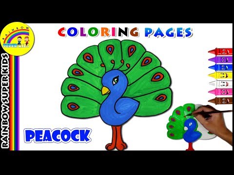 480x360 download thumbnail for how to draw a peacock step - Peacock Drawing Easy