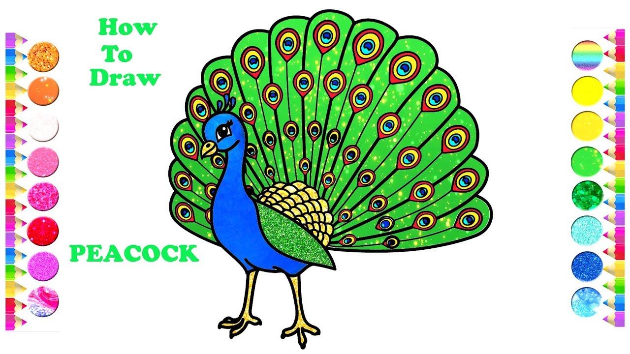 1280x720 how to draw a peacock easy peacock drawing and coloring pages - Peacock Drawing For Kids
