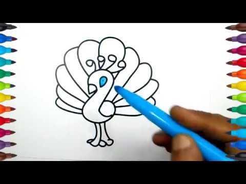 480x360 how to draw peacock peacock drawing drawing for kids very - Peacock Drawing For Kids