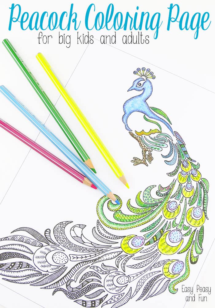 700x1000 Peacock Coloring - Peacock Drawing For Kids