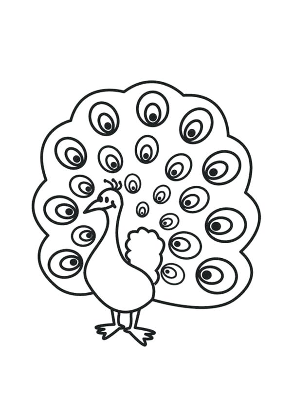 600x847 Peacock Coloring Pages Free Printable Sheets For Kids Feather - Peacock Drawing For Kids