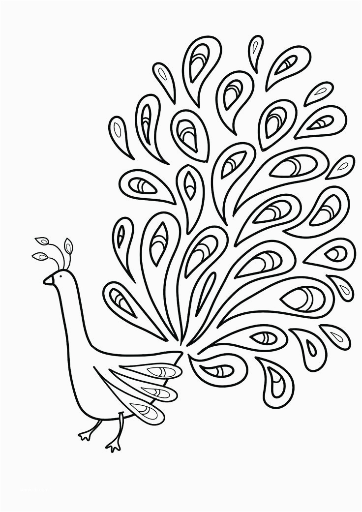 736x1041 coloring pages for kids birds interesting peacock bird drawing - Peacock Drawing For Kids