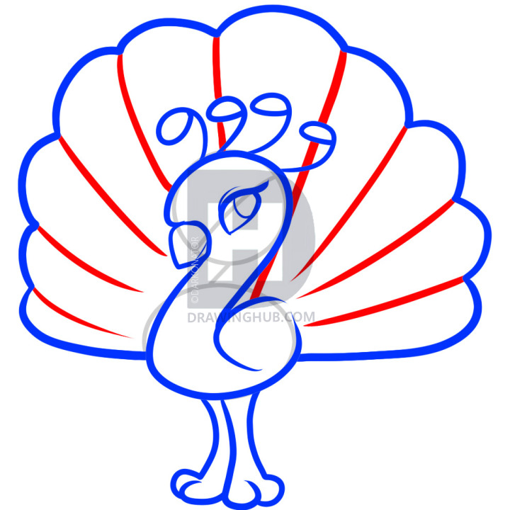 720x720 How To Draw A Peacock For Kids, Step - Peacock Drawing For Kids