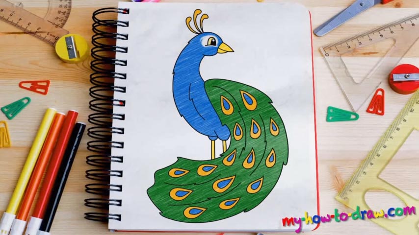 854x480 How To Draw A Peacock - Peacock Drawing Images