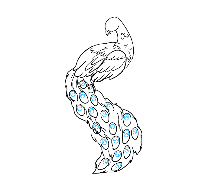 678x600 how to draw a peacock in a few easy steps easy drawing guides - Peacock Drawing Images
