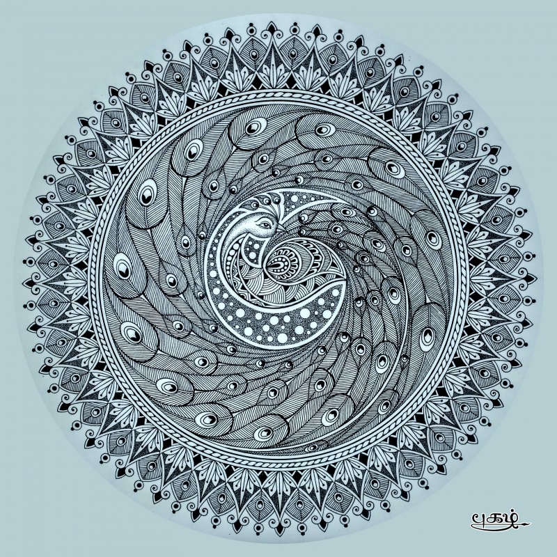 800x800 Peacock Mandala - Peacock Drawing Images