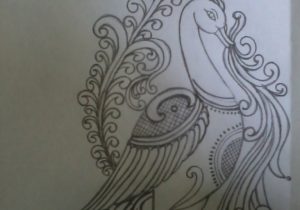 300x210 peacock pencil sketch simple peacock pencil drawing sketches - Peacock Drawing Images