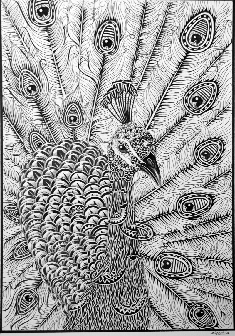 Peacock Drawing Images at PaintingValley.com | Explore collection of ...