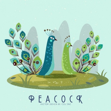 368x368 Peacock Drawing Images Free Vector Download - Peacock Drawing Images